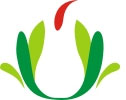 《东莞市城市排水管理办法》下月施行
